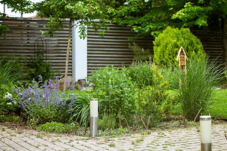 Garden with purple flowers, green plants, and a wooden fence.