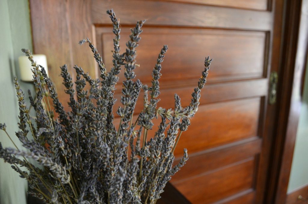 a bunch of lavender flowers in a vase