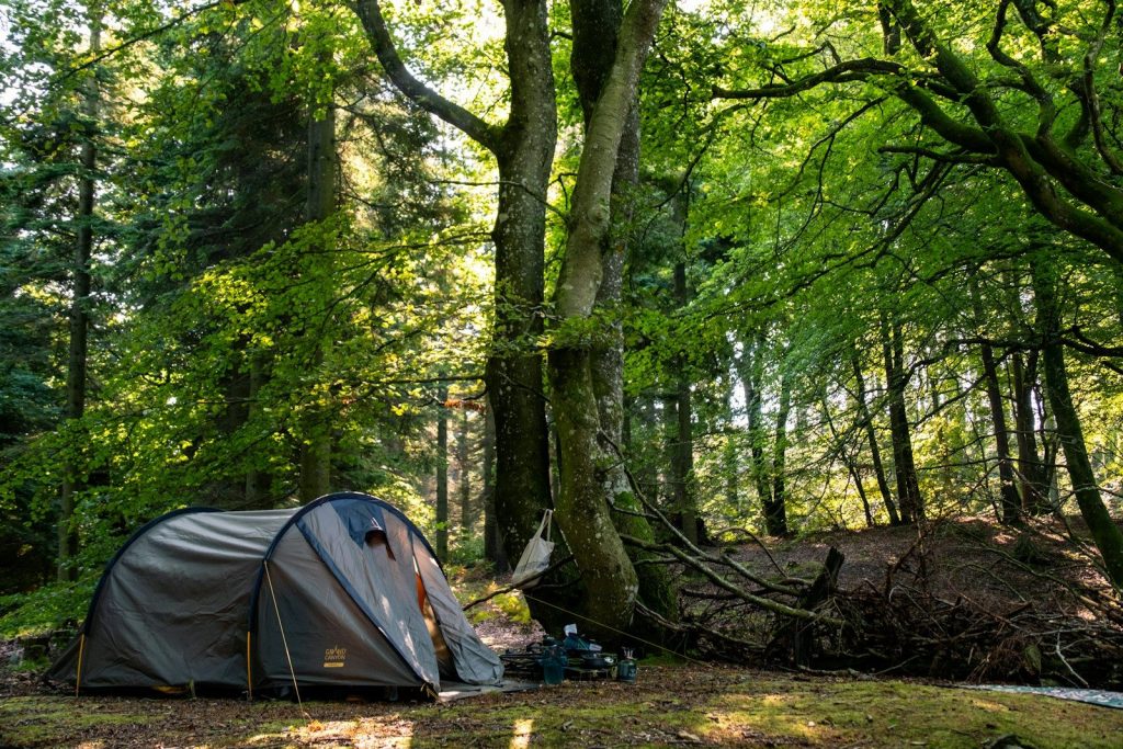 A tent is pitched up in the woods
