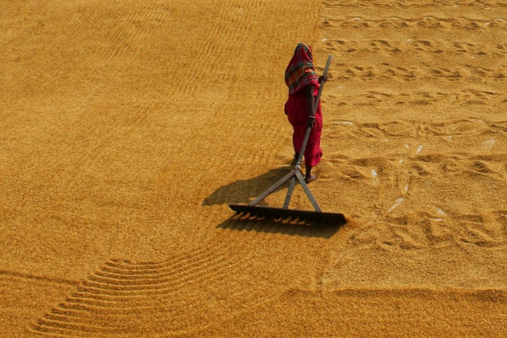 a person standing in the sand with a shovel