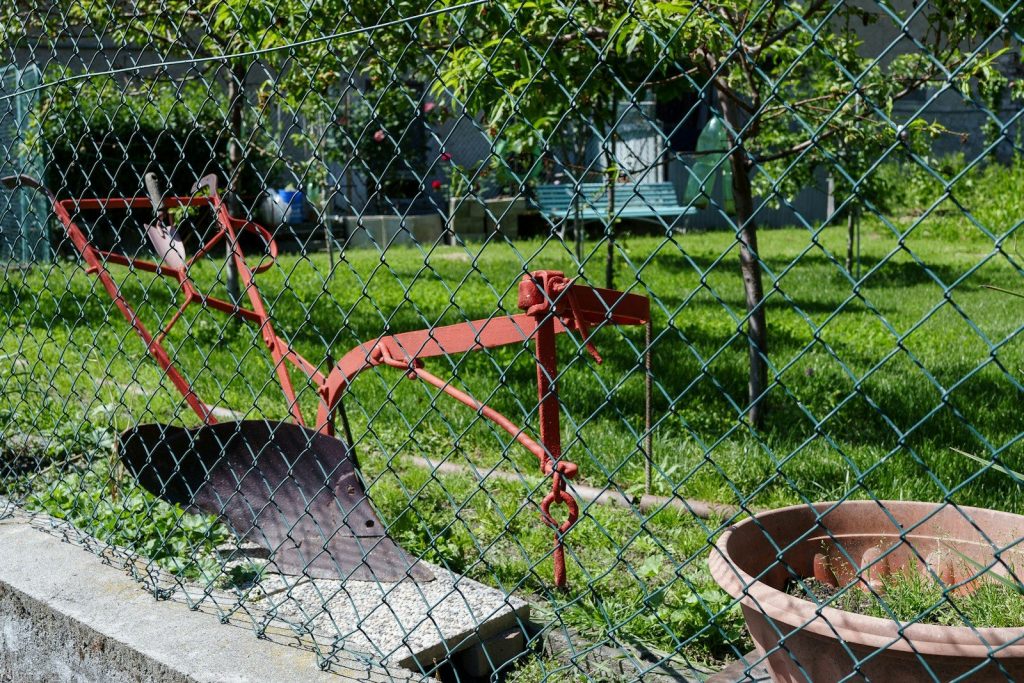 Rusty red plow sits in a grassy yard.