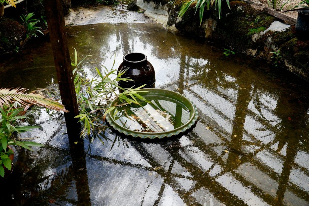 A dark vase floats in murky water with reflections.