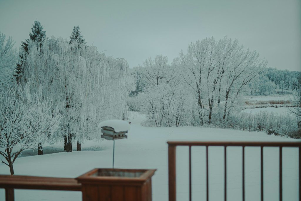 Snow-covered trees and landscape with a bird feeder