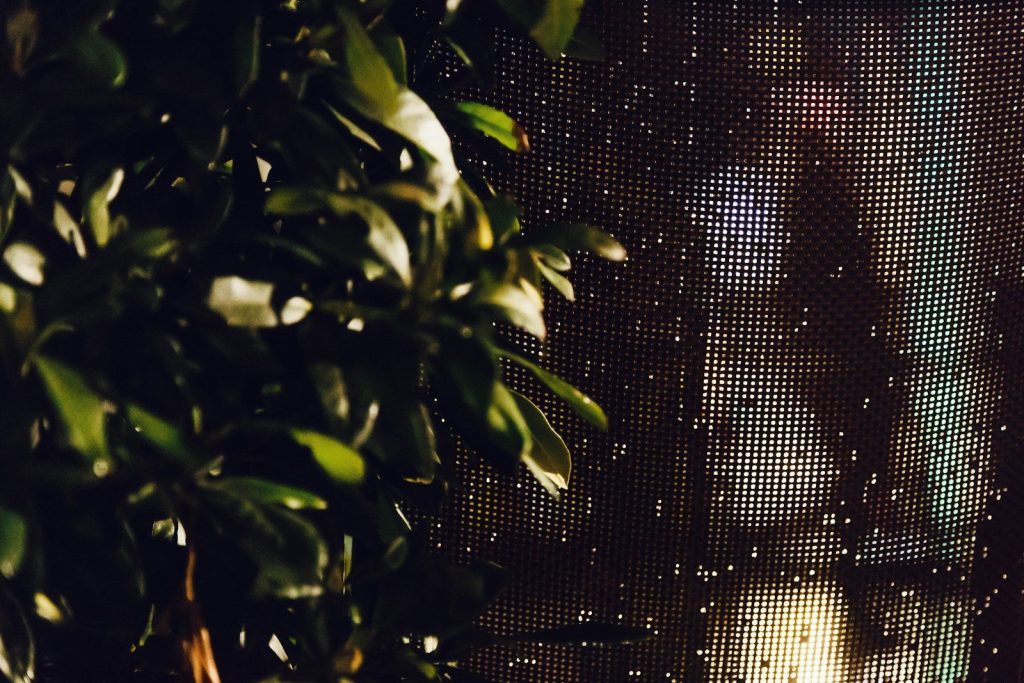 green tree