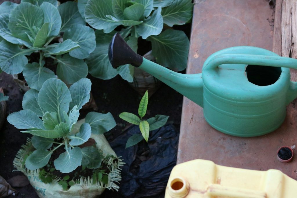 a green watering can sitting next to some plants