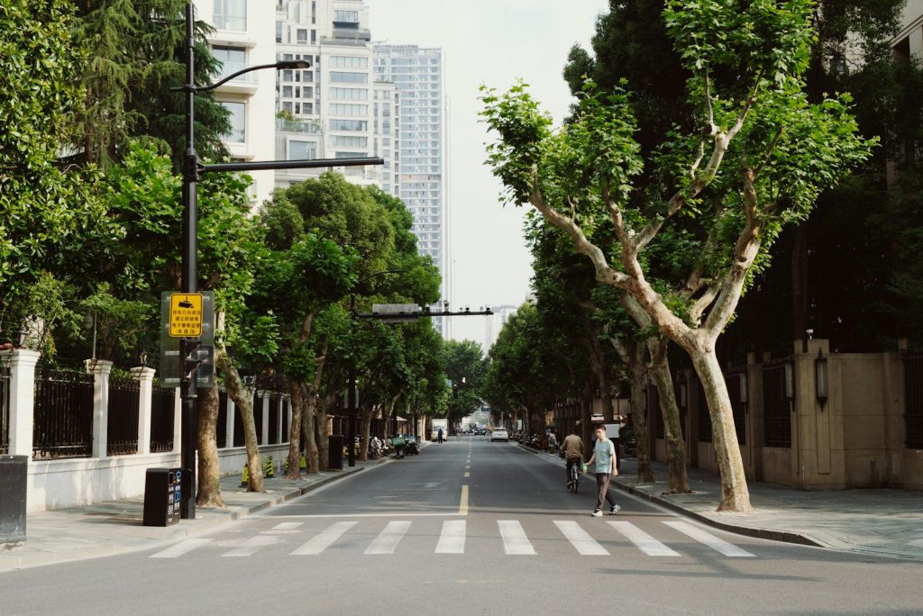 A tree-lined street leads towards skyscrapers.